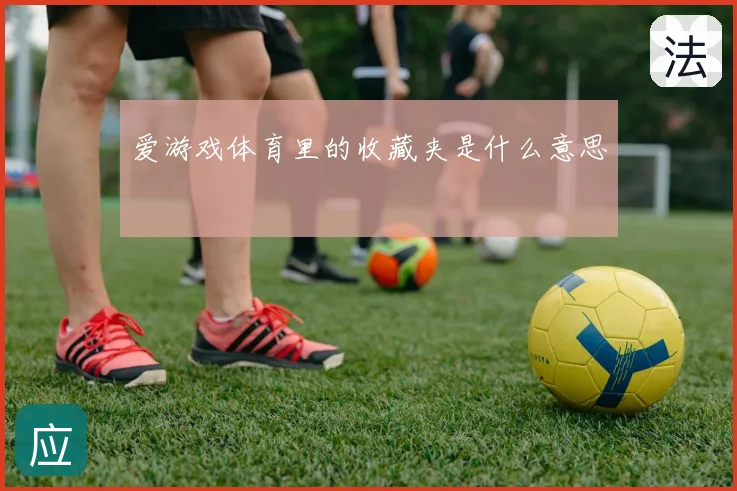 爱游戏体育里的收藏夹是什么意思